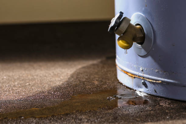 Best Water damage restoration near me  in Prairie Ridge, WA