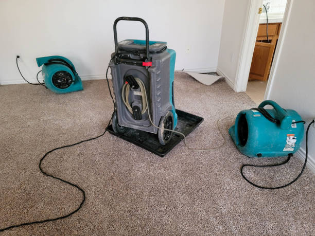 Best Water damage restoration near me  in Prairie Ridge, WA