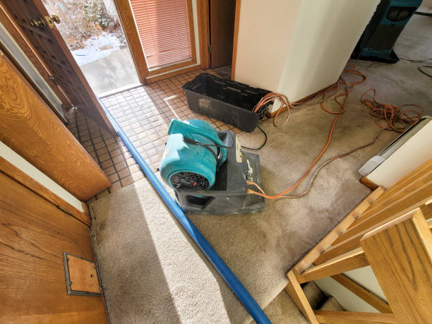 Best Mold removal after water damage  in Prairie Ridge, WA