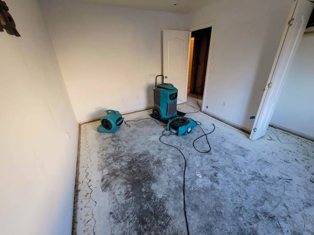 Local water damage restoration in Prairie Ridge, WA