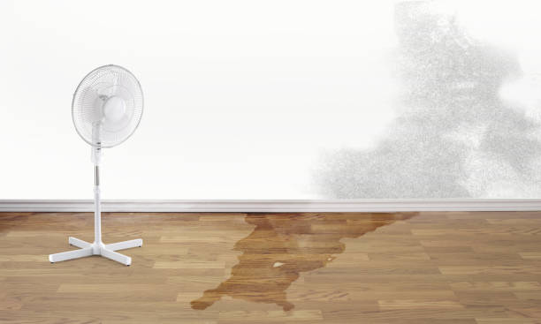 Reliable Prairie Ridge, WA Water damage restoration Solutions