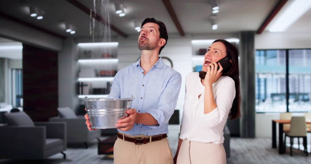 Best Local water damage restoration  in Prairie Ridge, WA