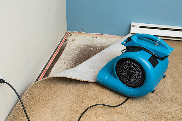 Best Water damage repair service  in Prairie Ridge, WA